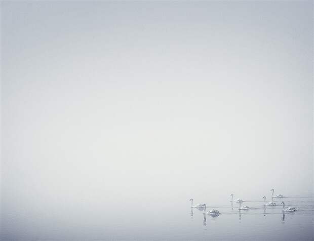 Пейзажи. (Craig Easton)