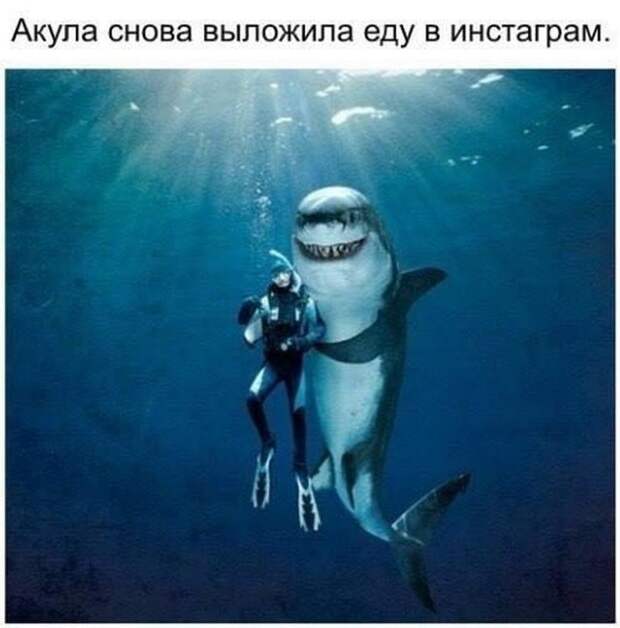 Новая партия уморительных коментариев из соцсетей Новая партия уморительных коментариев из соцсетей