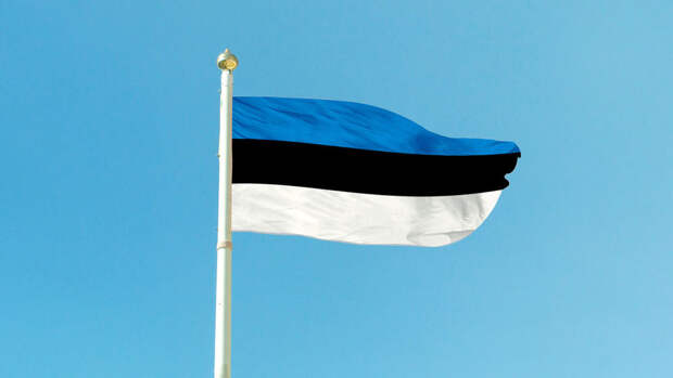 Глава оппозиционной партии Эстонии Хельме призвал вдвое сократить помощь Киеву