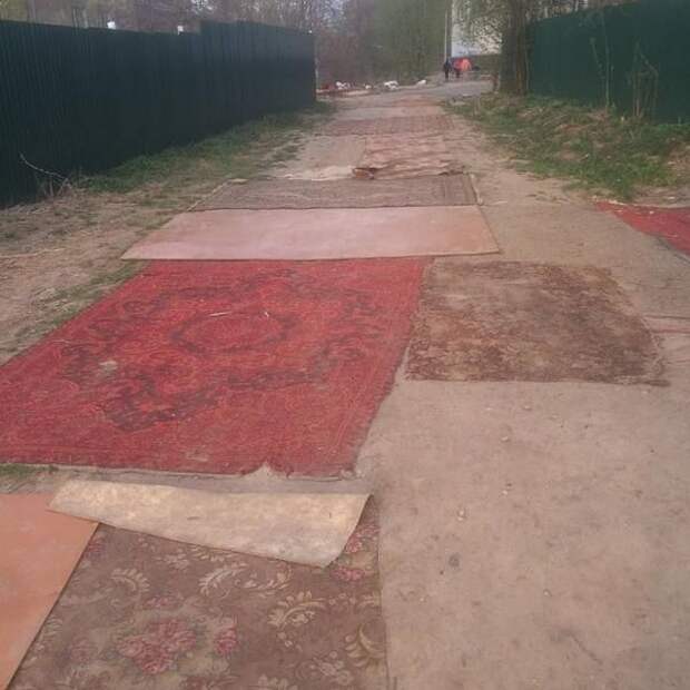 Прикольные картинки и забавные фото приколы из жизни (12 фото) Прикольные картинки и забавные фото приколы из жизни (12 фото)