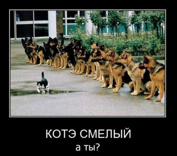 Демотиваторы которые заставляют задуматься