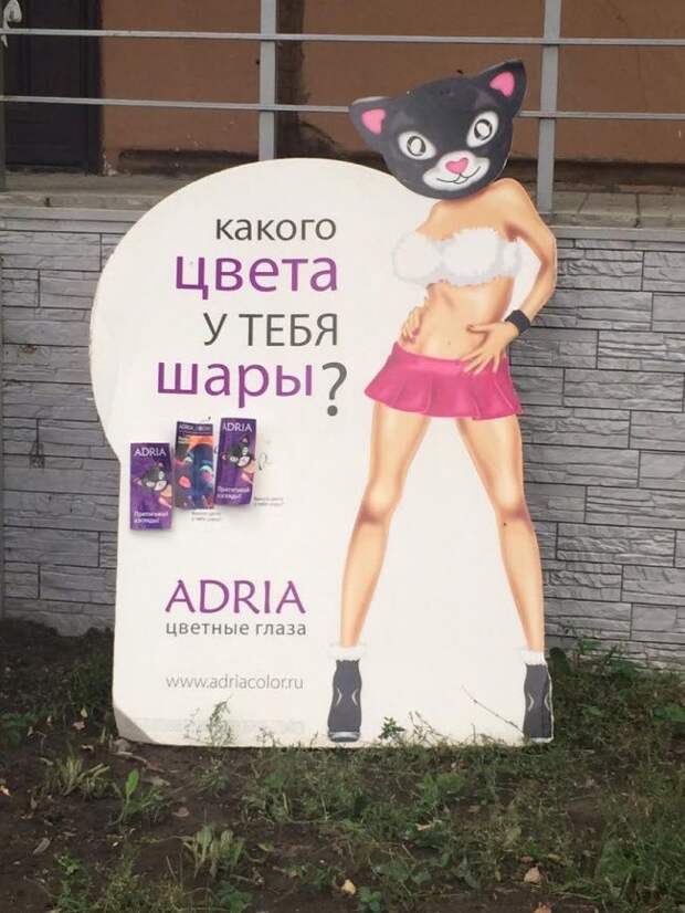 Маразмы месяца  россия, позитив, юмор, маразм, реклама