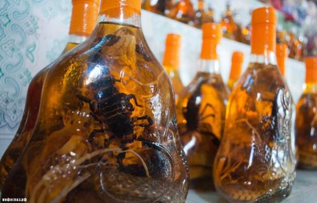 vietnam_food_snake_wine