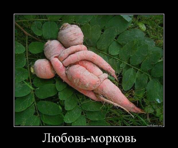 Демотиваторы, создавай прикольное настроение.