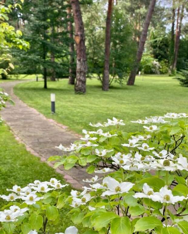 Участок возле дома