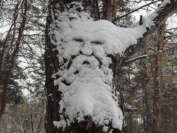 Прикольные картинки