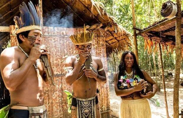 Власти Бразилии обнаружили дикое племя, никогда не встречавшееся с цивилизацией ynews, бразилия, встреча с цивилизацией, исследование, люди из джунглей, новости, первобытное племя, этнограия