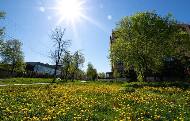 В Тульской области ожидается жаркая погода