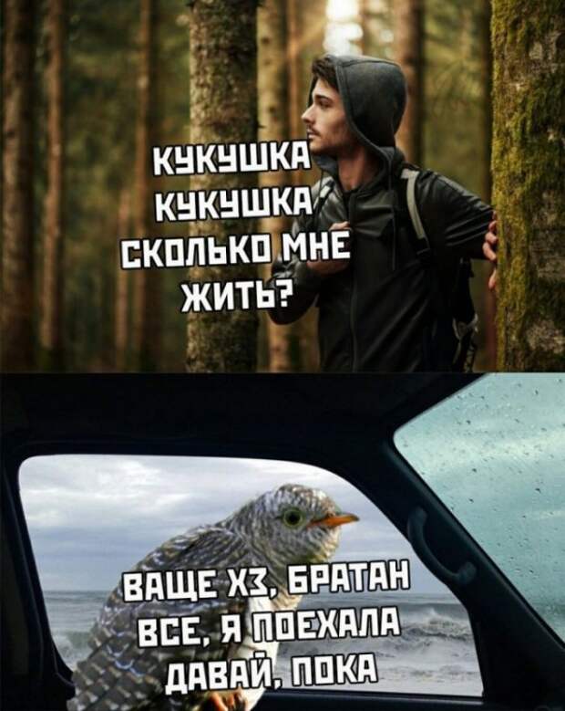 Немного картинок для настроения