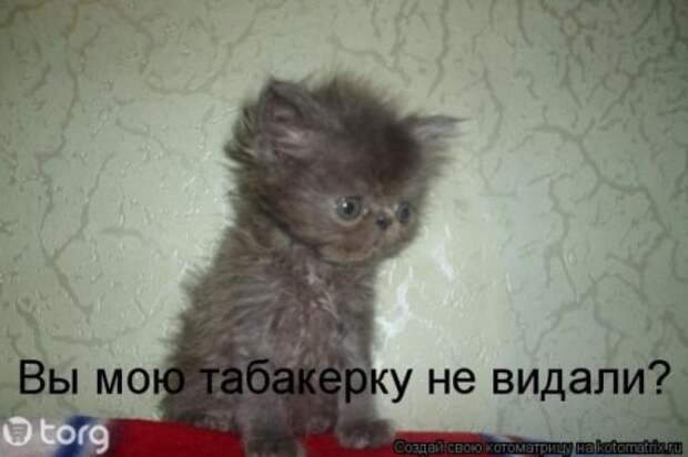 Котоматрицы