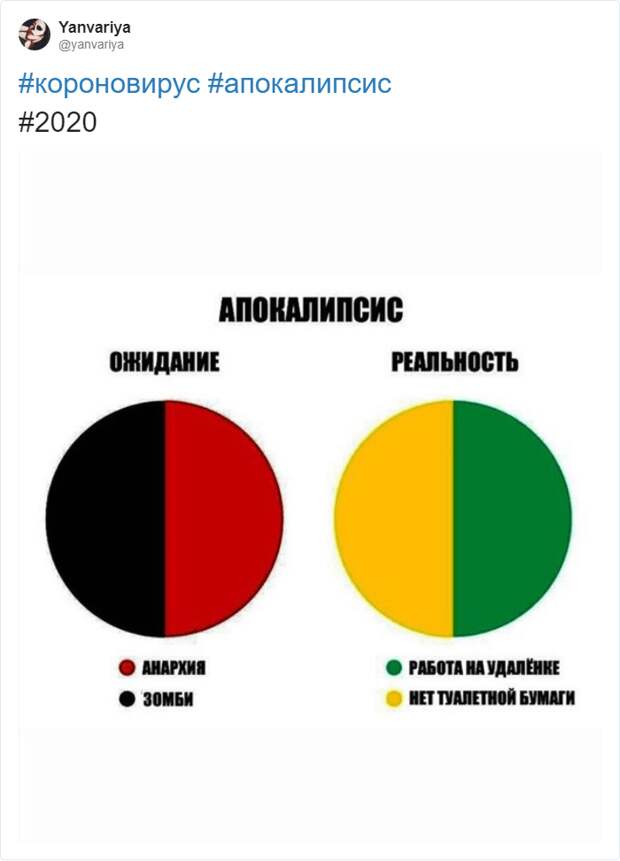мемы про туалетную бумагу