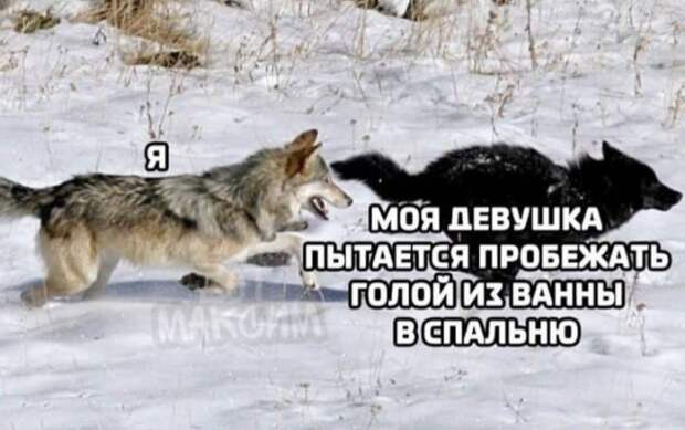 206323_4_trinixy_ru.jpg