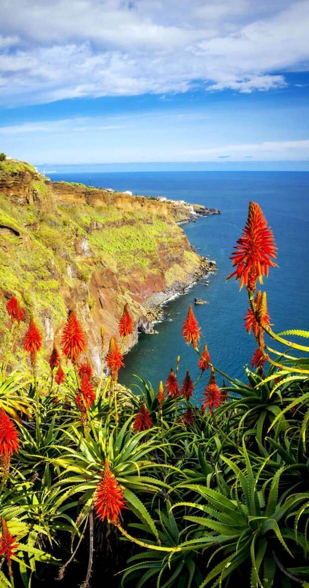 Beautiful View of Madeira Island, Portugal | 32 Stupendous Places in Portugal every Travel Lover should Visit