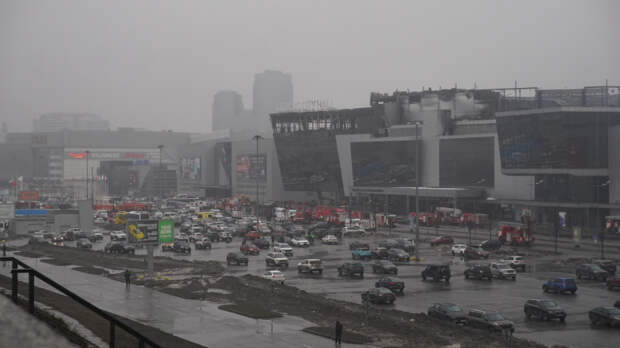 На покупку оружия организаторы теракта в «Крокусе» выделили 350 тысяч рублей