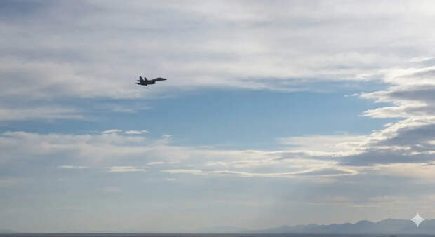 Генерал Липовой назвал поставки авиации Украине из Европы "летающие гробы"