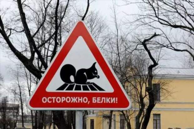 Предупреждающие таблички. Прикольные. Подборкаchert-poberi-tablichki-38430901072020-6 картинка chert-poberi-tablichki-38430901072020-6