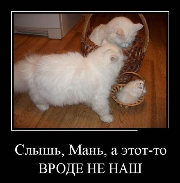 Сборник демотивационных приколов Сборник демотивационных приколов
