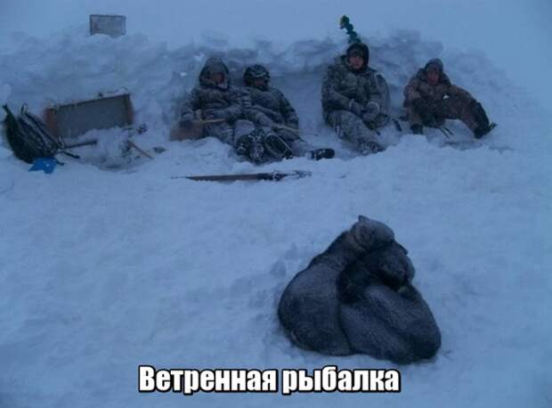www.vsyako.net