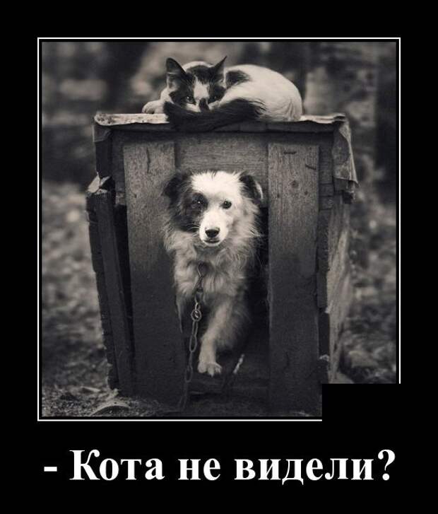 Демотиваторы (30 фото)