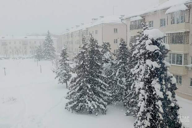 Школы, детсады и вузы Казани перейдут на дистанционное обучение из-за непогоды 17 февраля