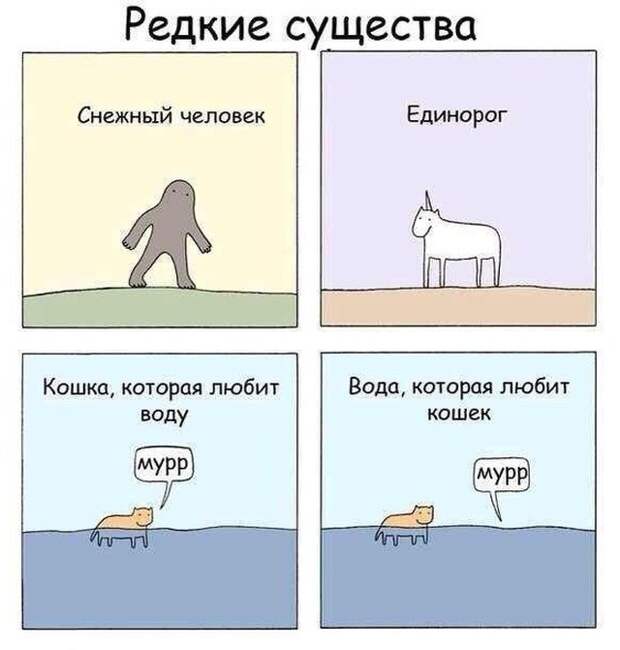 Смешные комиксы