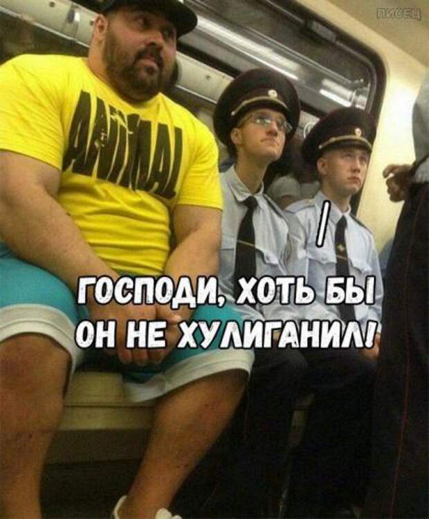 Убойные заряды юмора на все ближайшие дни. Смотрим! Убойные заряды юмора на все ближайшие дни. Смотрим!