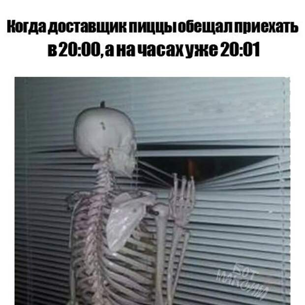 Веселые картинки с надписями для настроения (11 фото) Веселые картинки с надписями для настроения (11 фото)