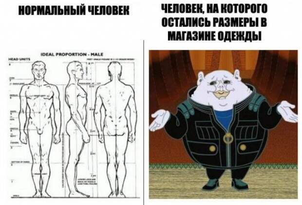 kartinok-interesnyh-prikolnyh-kartinki-smeshnye-kartinki-fotoprikoly