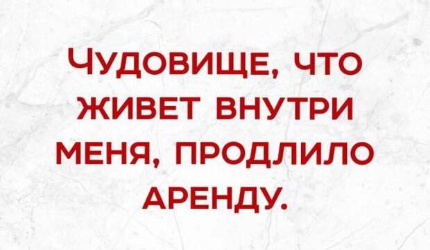 Прикольные картинки-21 фото-