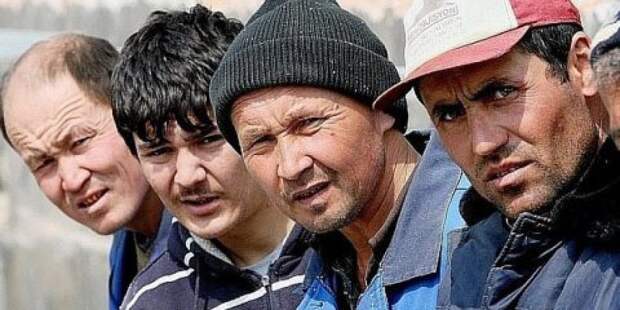 Госдума ужесточает правила: что ждет мигрантов за поддельные справки и уклонение от медосмотра