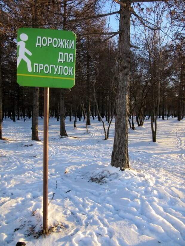 Фотоприколы прикол, хохма, юмор