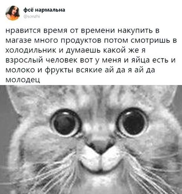 www.vsyako.net