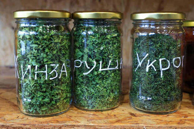 На Кубани уничтожили семена петрушки с зебра-чипом, привезенные из Италии