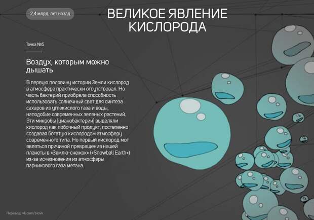 www.vsyako.net