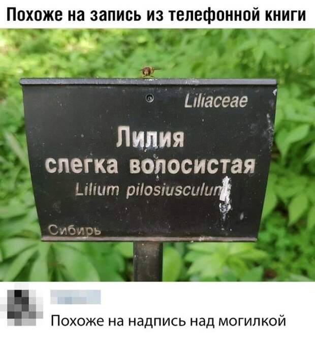 насобиралок пост