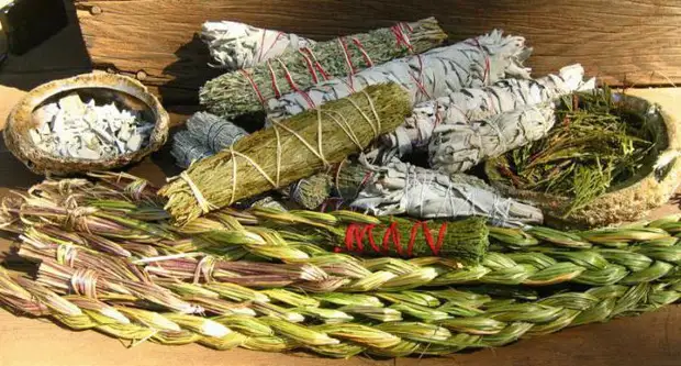 Травы-талисманы для счастья и удачи