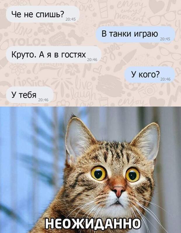 У кого? У кого?
