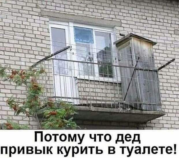 Подборка замечательных весёлых картинок