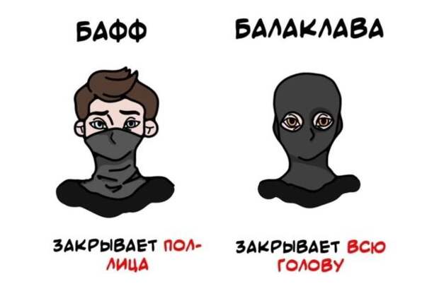 Короткие интересные факты на все случаи жизни
