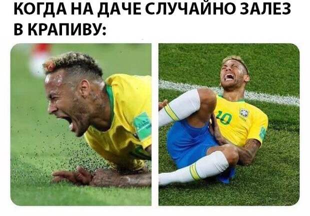 Подборка картинок. Вечерний выпуск (24 фото)