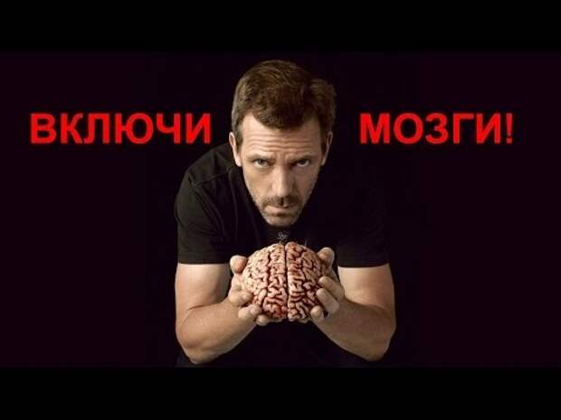 Включай мозги блоггер