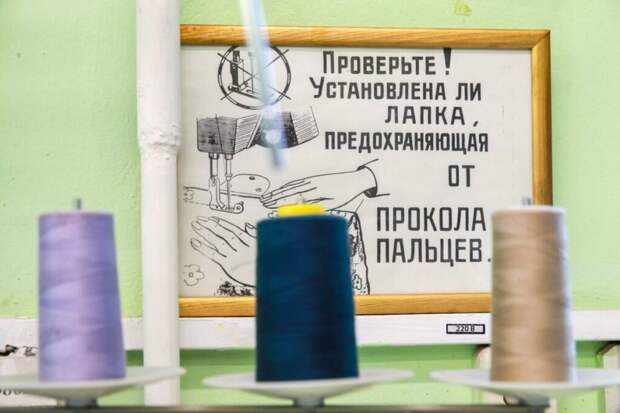 Роструд назвал топ-5 самых востребованных профессий в России