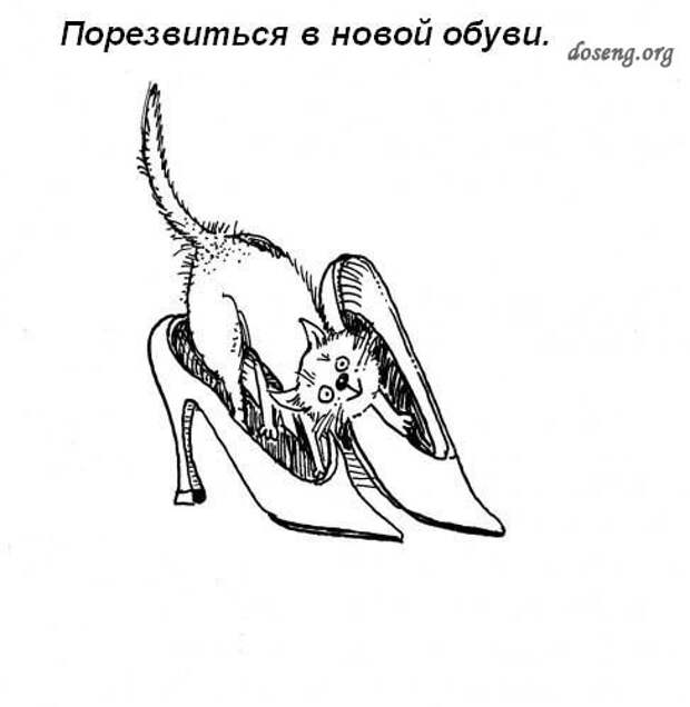 дому-кота-Обязанности-картинки-смешные картинки-фотоприколы