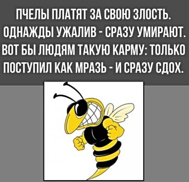 Картинки с надписями, истории и анекдоты