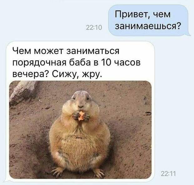 Действительно Действительно диалоги, переписка, прикол, смешные смс, смешные сообщения, смс, сообщения