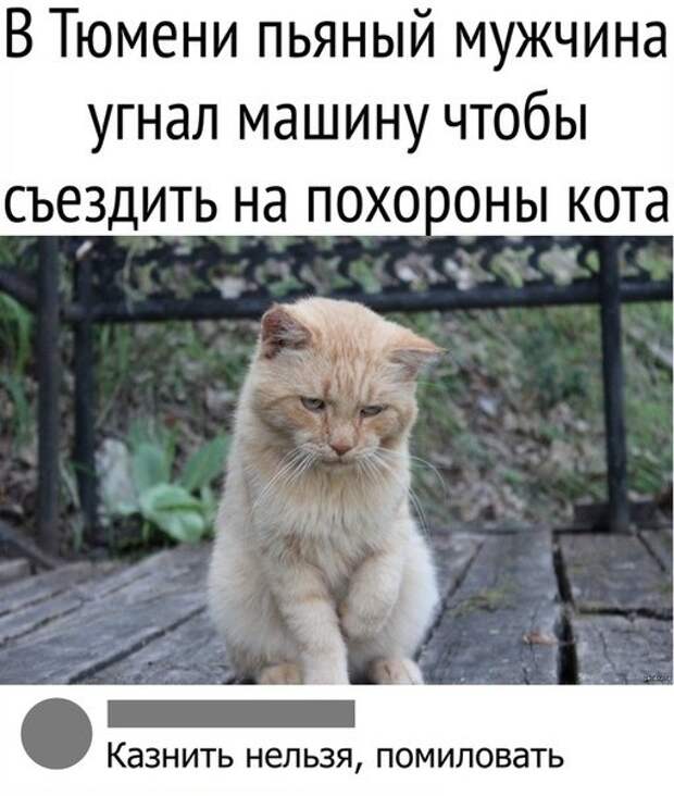 Нестандартный юмор с просторов сети (30 фото)