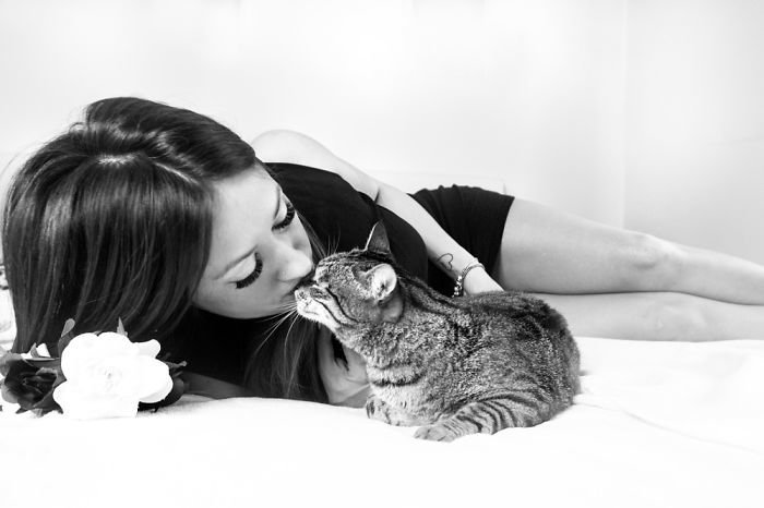 7. довольные мордашки, животные и люди, коты, кошаки, кошки, счастье, удовольствие, фотограф