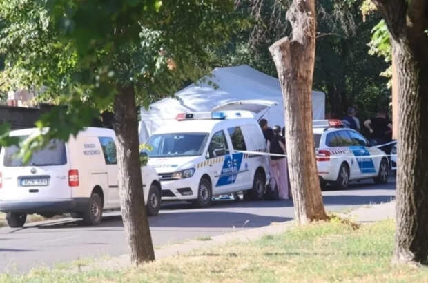 Вакаров: в Венгрии задержали кассу Зеленского в ответ на его угрозы Орбану