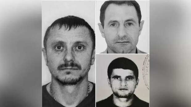 Польша радушно приняла уголовных фигурантов из России в европейскую семью Польша радушно приняла уголовных фигурантов из России в европейскую семью