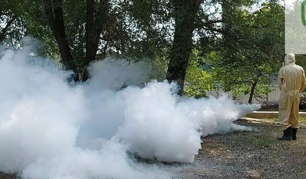 Парк «Дружба» в Ростове обработали «горячим туманом», чтобы уничтожить клещей